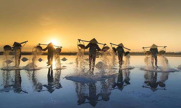 salt-harvesting-3060093_1280.jpg